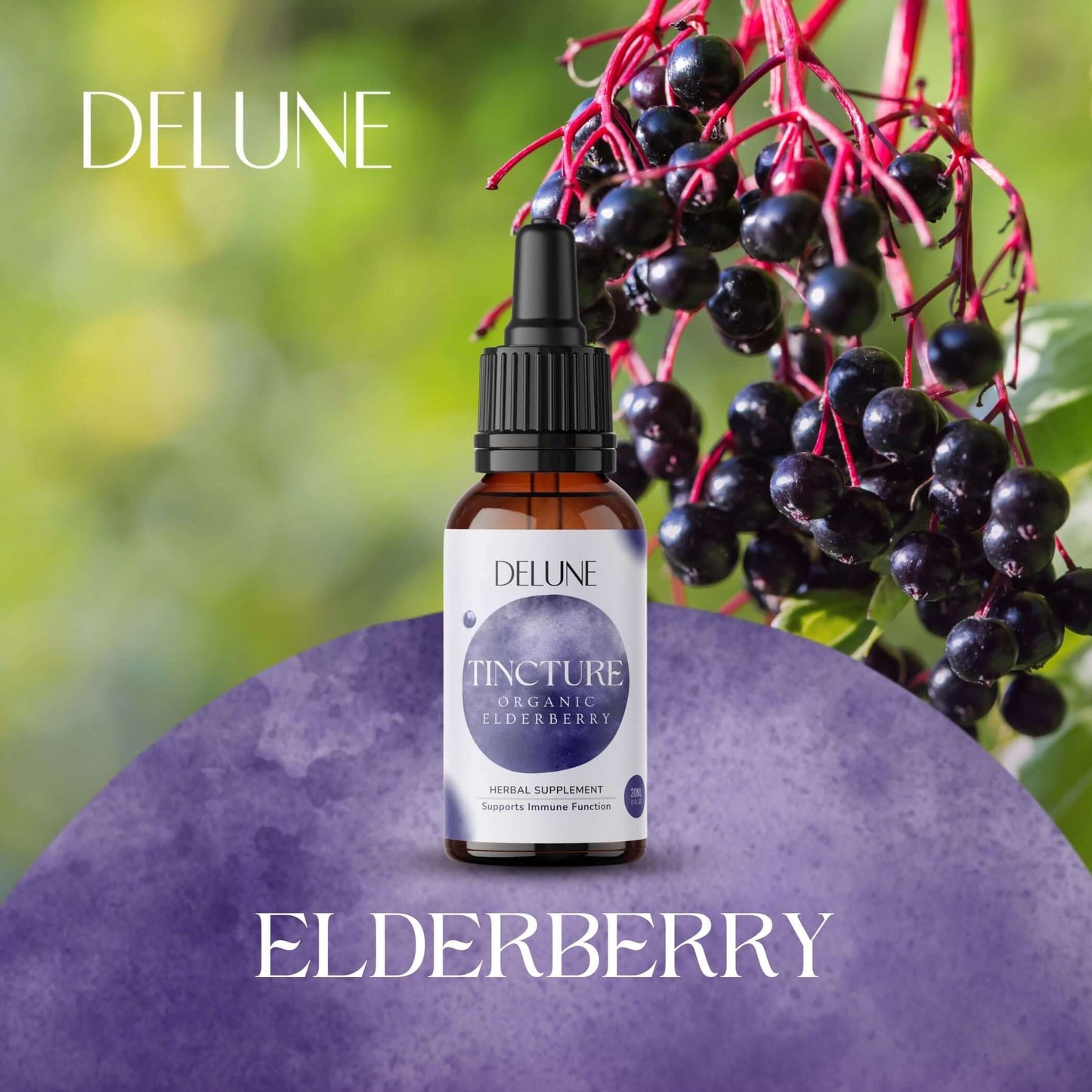 Organic Elderberry Tincture with immune-boosting properties by DeLune. Enhance wellness naturally, inspired by traditional remedies.