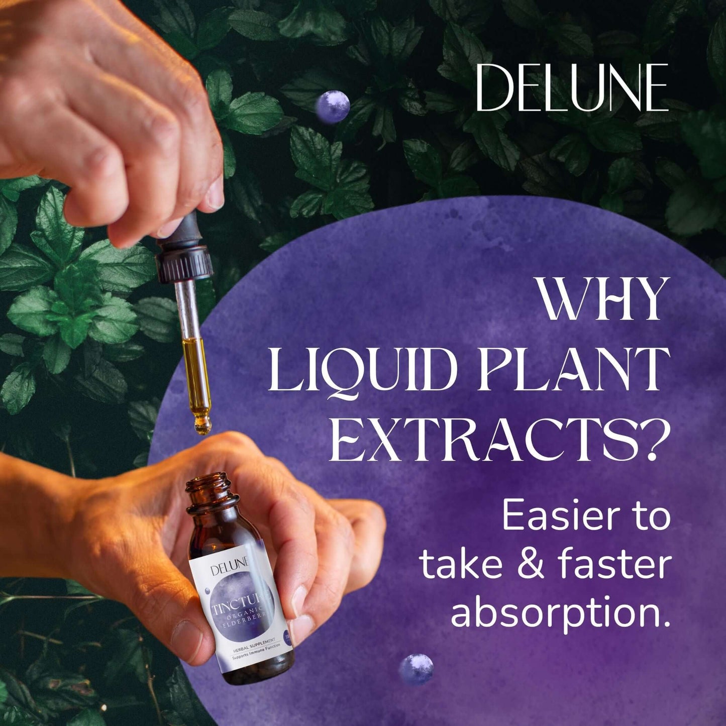 Hands using a dropper with DELUNE liquid plant extract tincture, featuring benefits of easy intake and fast absorption.