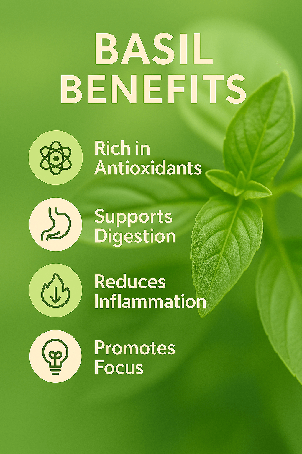 Basil Pure Essential Oil