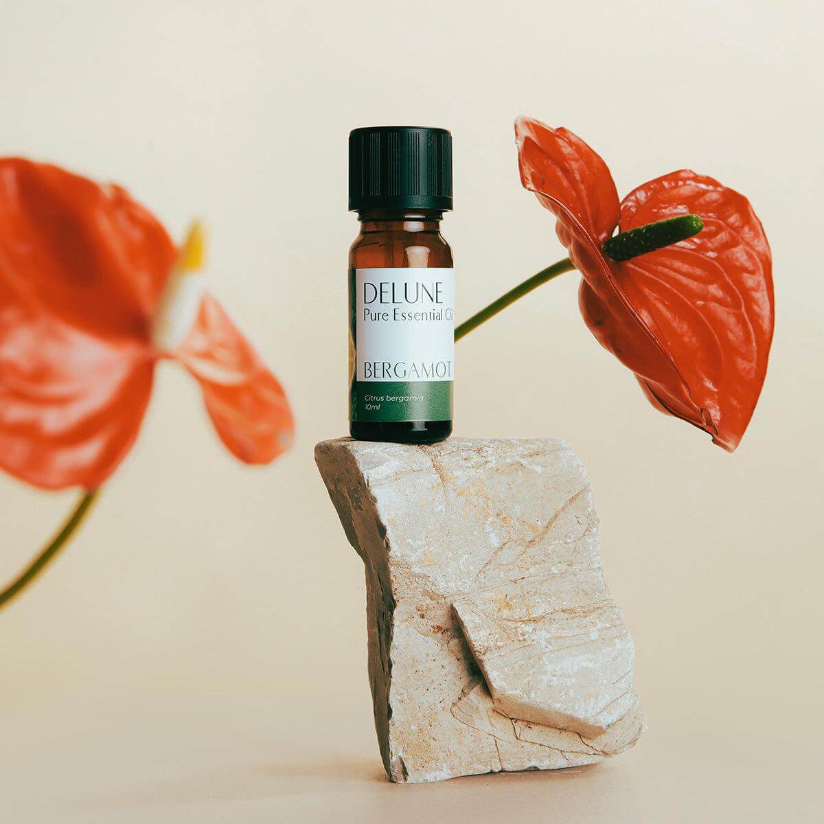 Bergamot Pure Essential Oil bottle displayed on a stone, surrounded by red flowers, promoting a soothing, uplifting atmosphere.