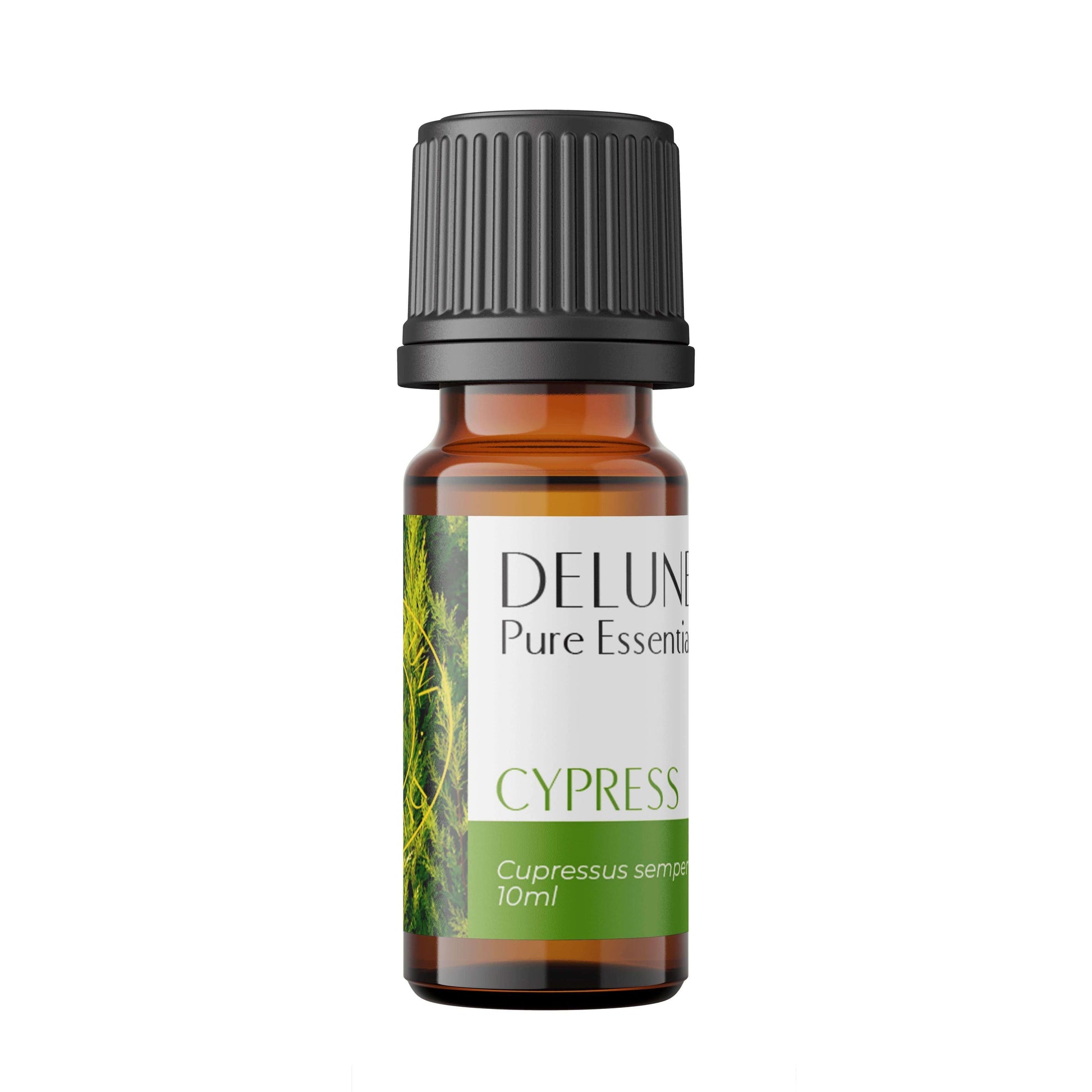 Cypress Pure Essential Oil bottle with refreshing woody scent for vitality and skincare, 10ml