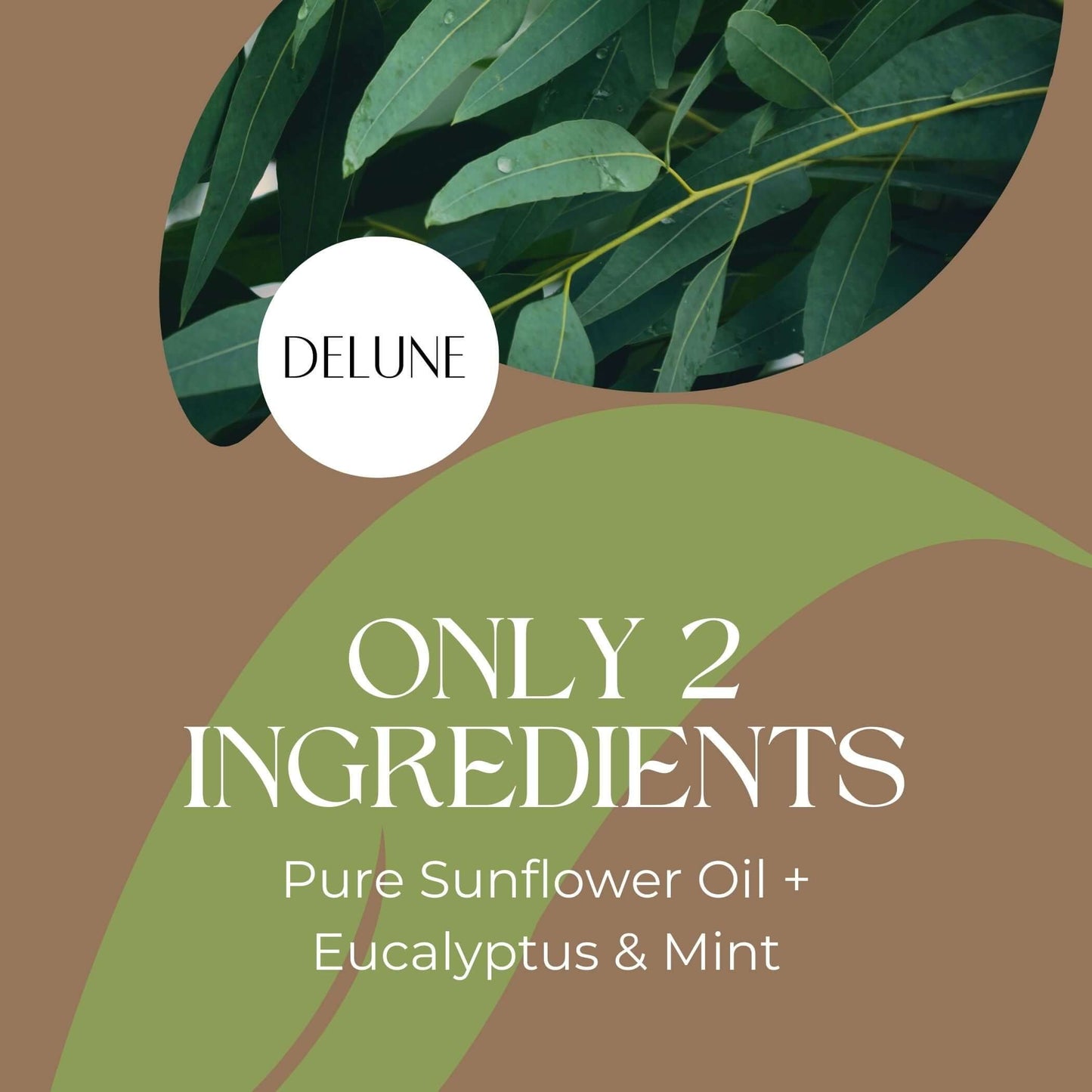 Eucalyptus mint body oil with pure sunflower oil by Delune, featuring simple ingredients for rejuvenation and refreshment.