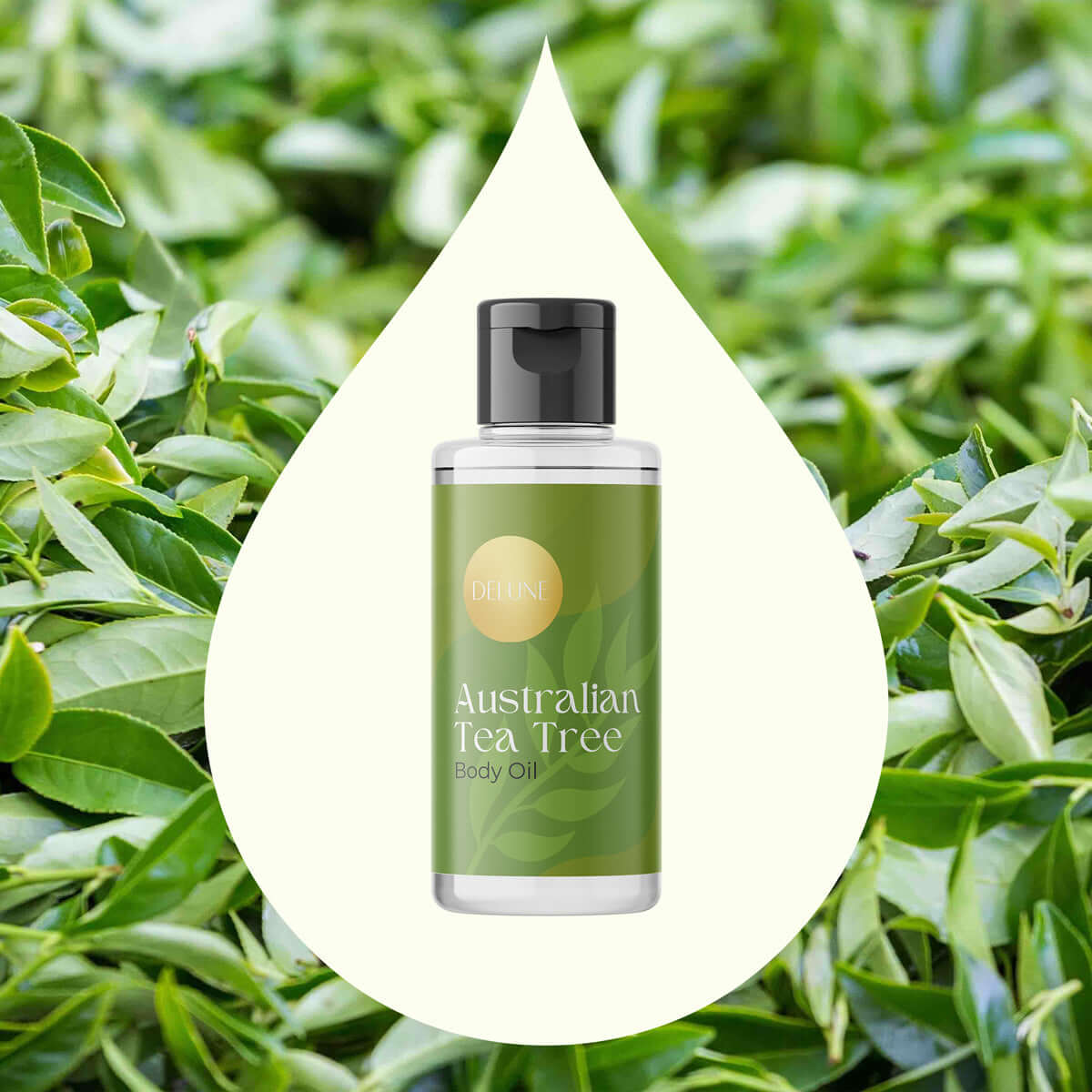 Delune Tea Tree Body Oil bottle against fresh tea leaves background, highlighting its purifying and antiseptic skin benefits.