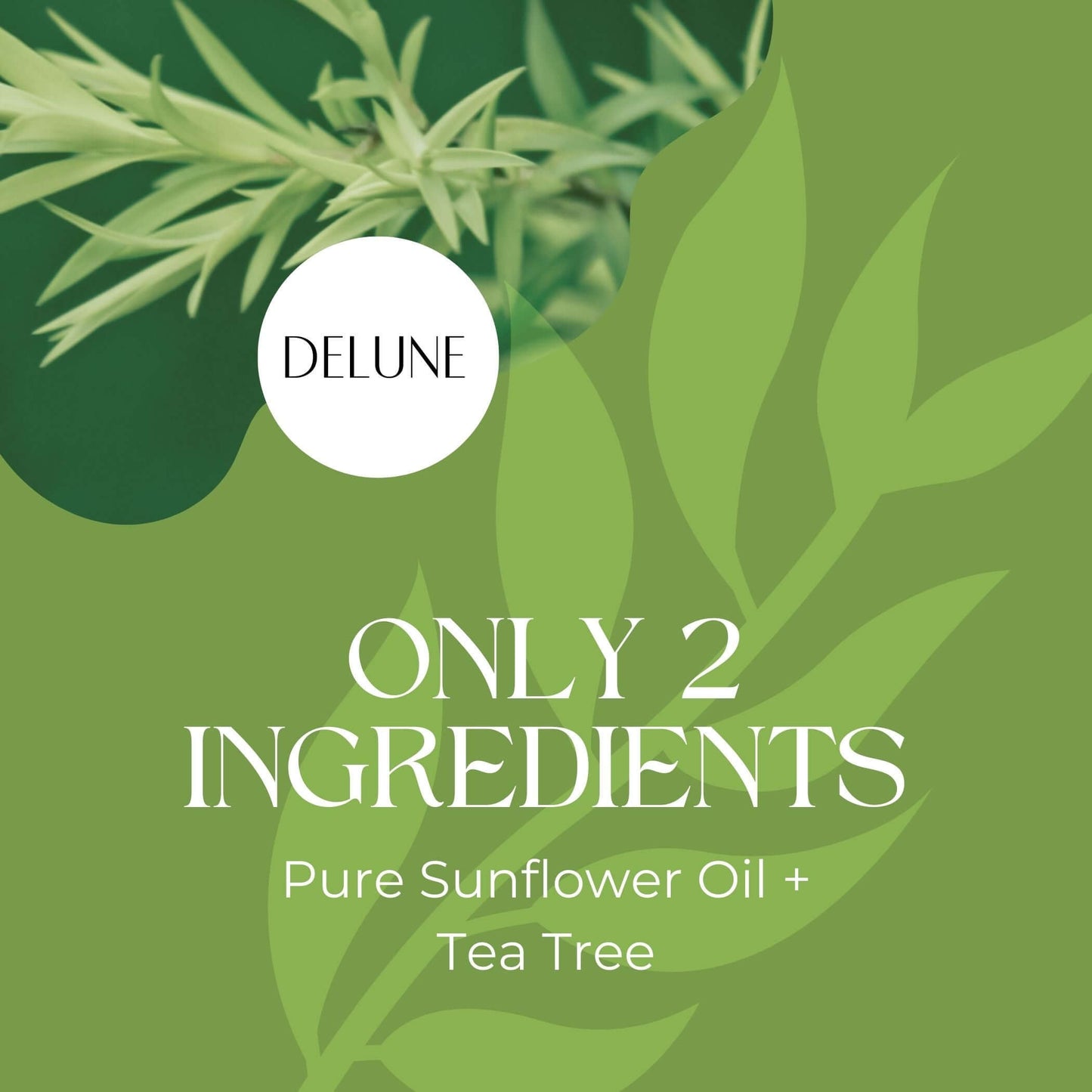 Delune Tea Tree Body Oil packaging with pure sunflower oil and tea tree extract description on a green background.