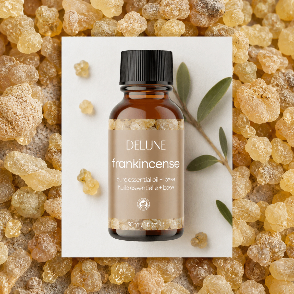 Frankincense body oil UAE – Delune Dubai Frankincense Essential Oil + Base 30ml on golden frankincense resin