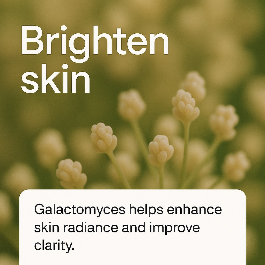 Galactomyces 100% Brightening Essence