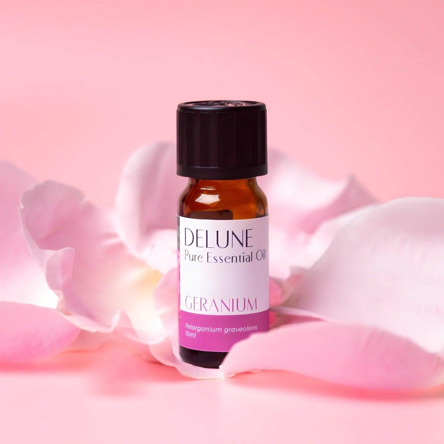 Geranium Pure Essential Oil bottle on pink petals, promoting emotional wellness and healthy-looking skin.