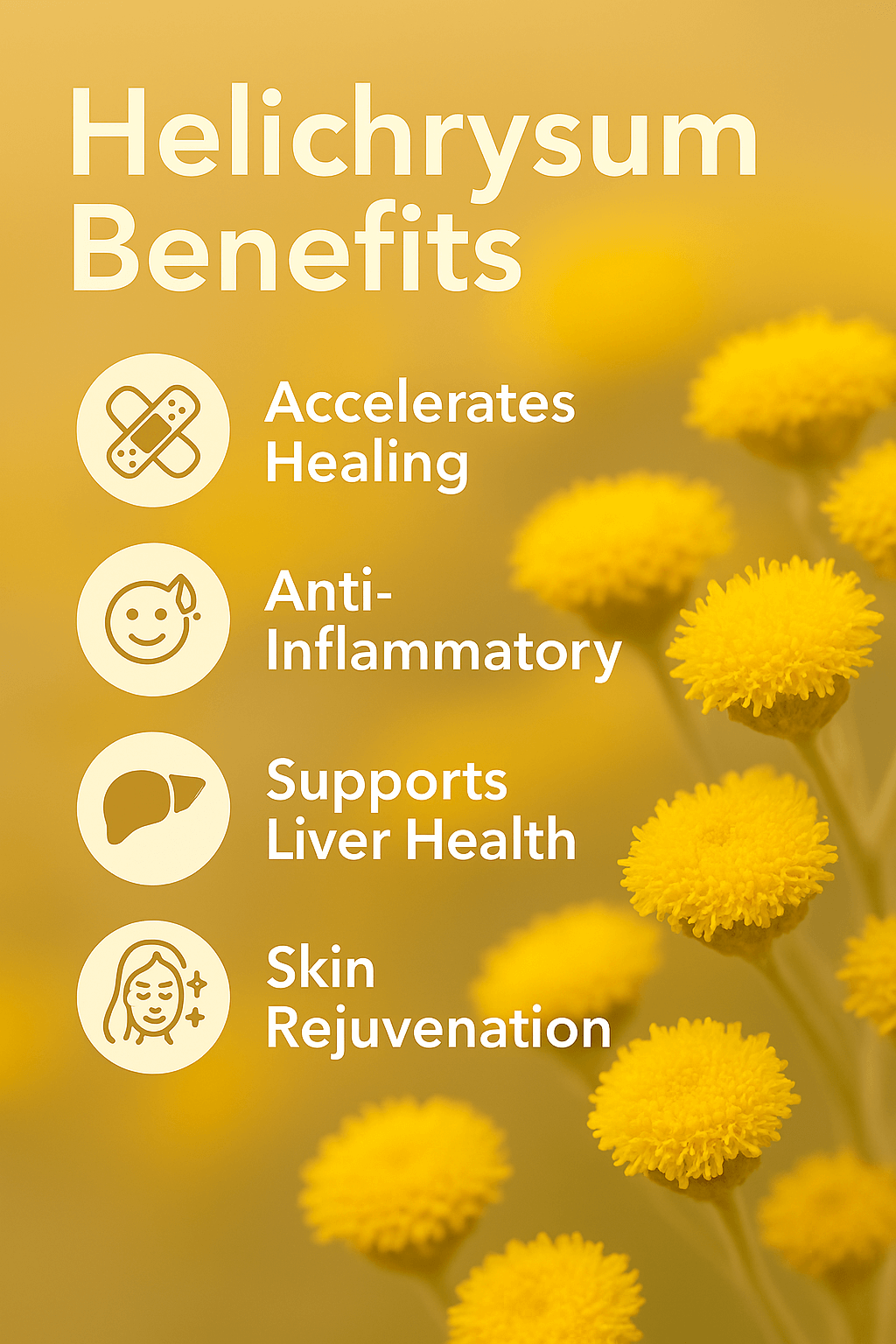 Infographic of Helichrysum benefits: accelerates healing, anti-inflammatory, supports liver health, skin rejuvenation, with yellow flowers.