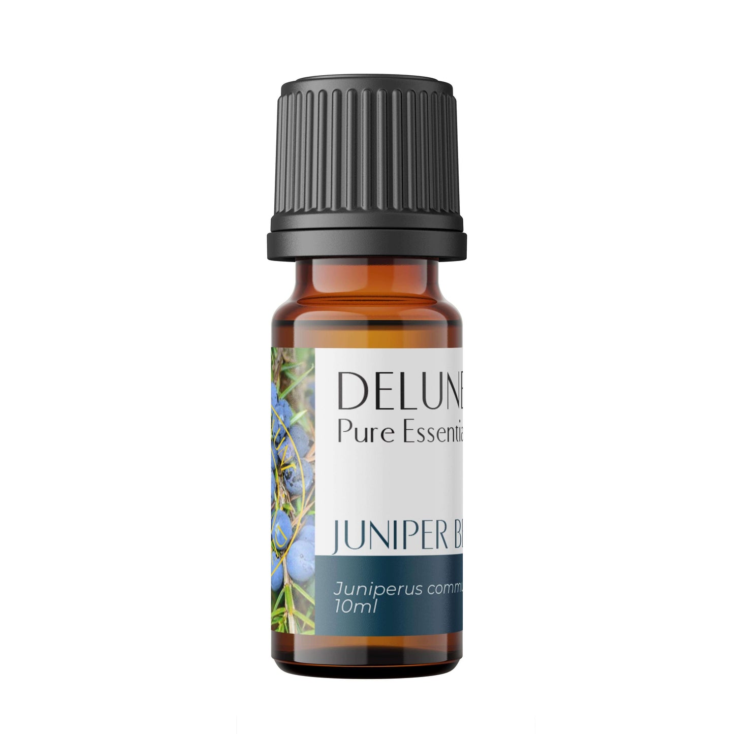 Juniper berry pure essential oil bottle with fresh, invigorating scent, ideal for cleansing and grounding mind and body.