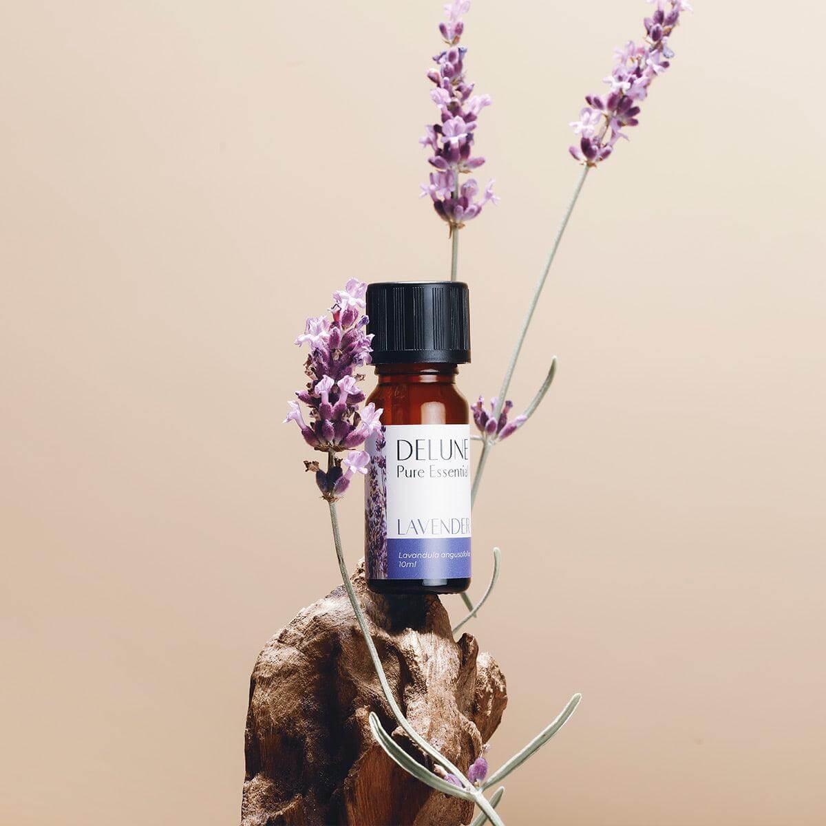Lavender Pure Essential Oil with floral aroma, perfect for relaxation and skincare, surrounded by fresh lavender flowers.