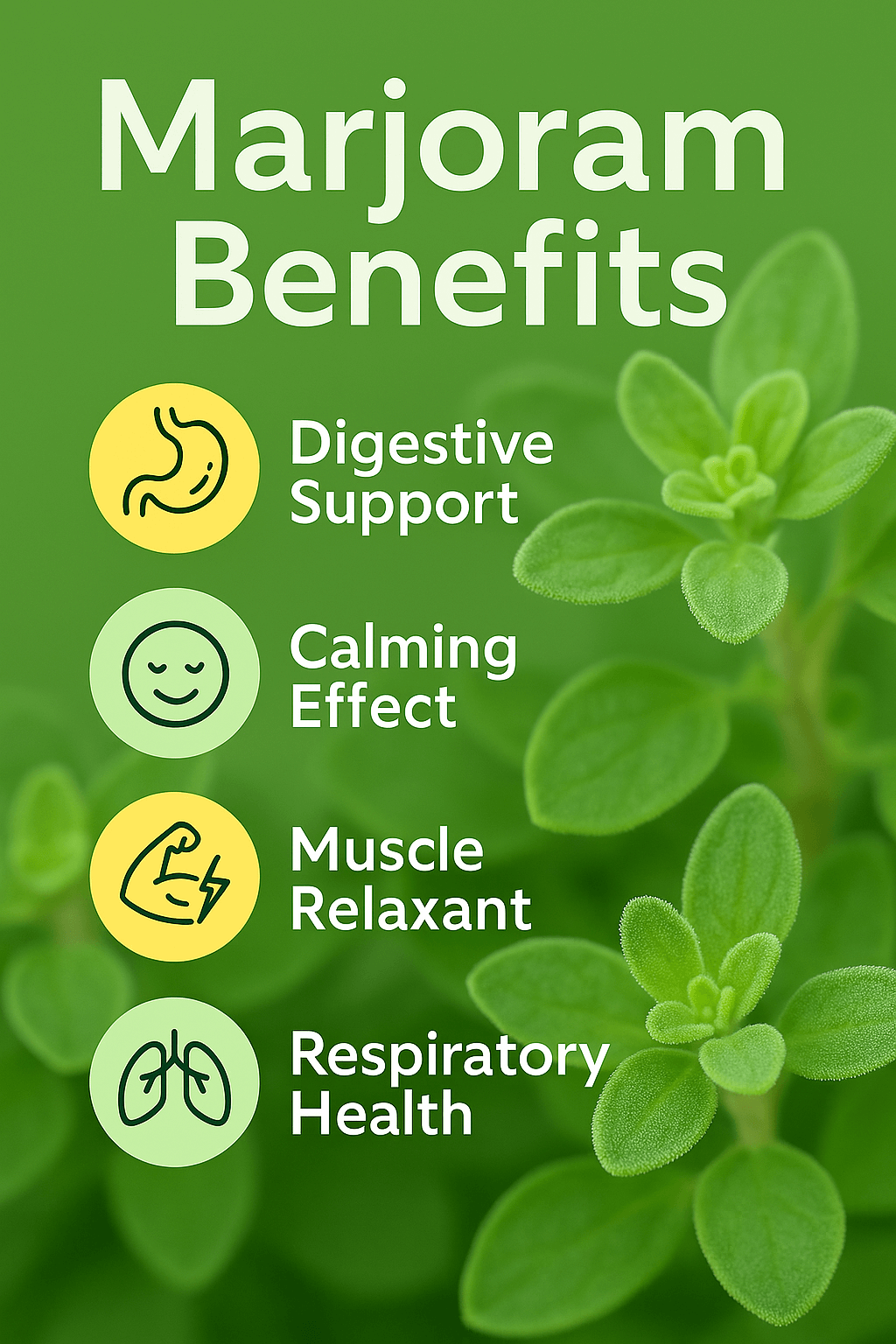 Marjoram Pure Essential Oil