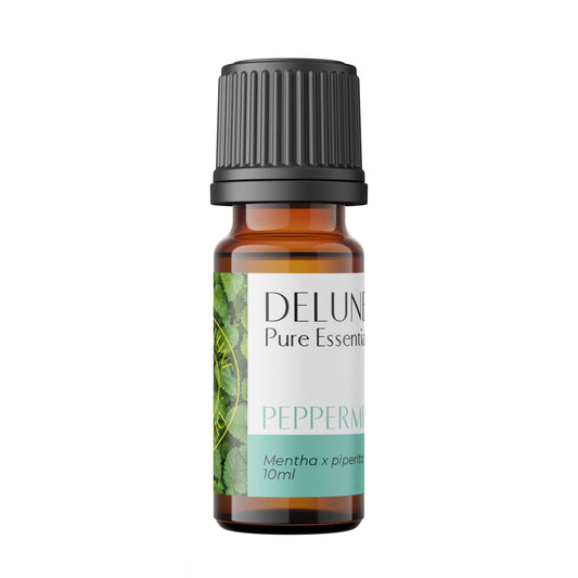 Peppermint Pure Essential Oil bottle showcasing cooling properties for respiratory support and muscle relief. 10ml size.