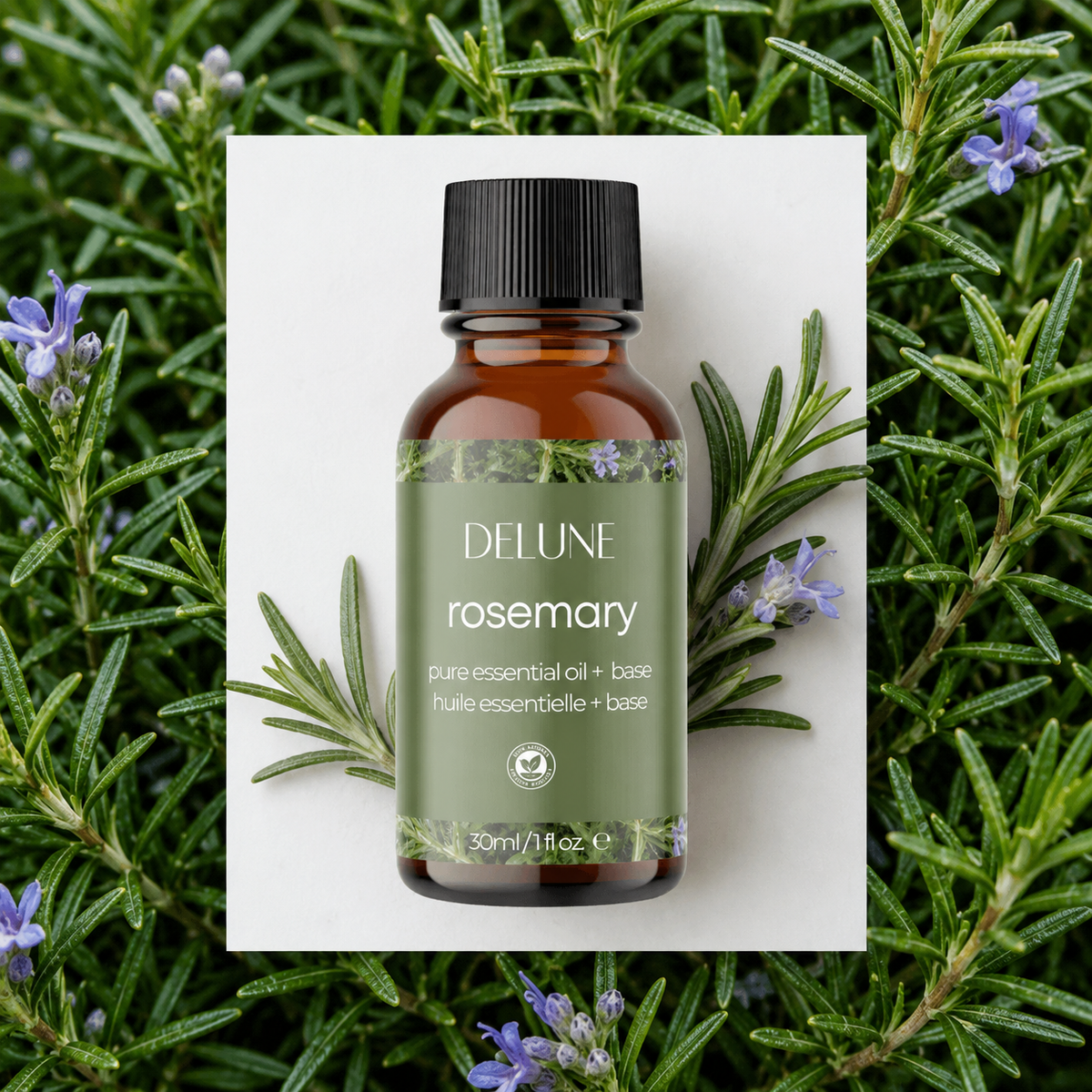 Rosemary body oil UAE – Delune Dubai Rosemary Essential Oil + Base 30ml on fresh rosemary sprigs