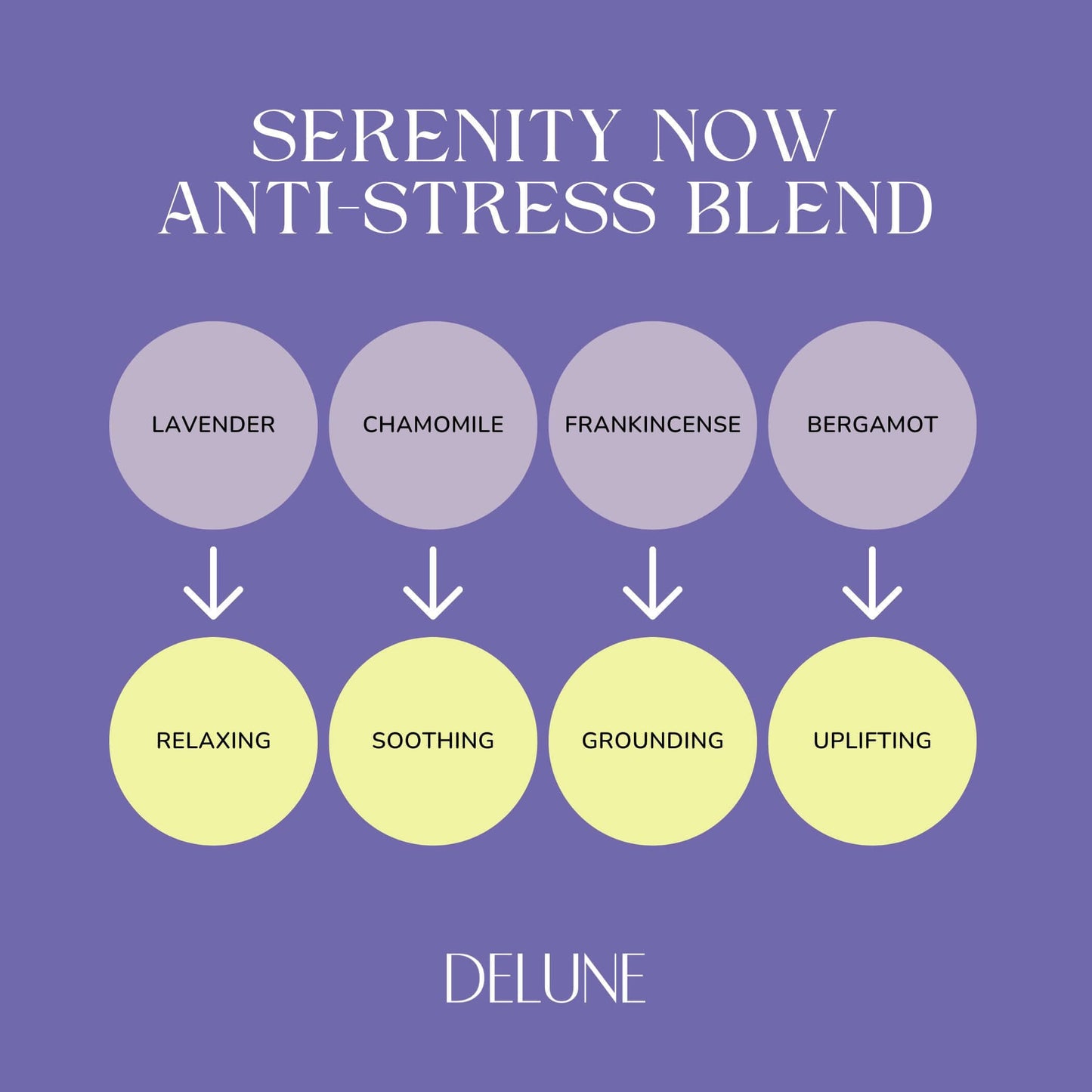 Diagram depicting Serenity Now anti-stress blend ingredients: lavender, chamomile, frankincense, bergamot with effects: relaxing, soothing, grounding, uplifting.