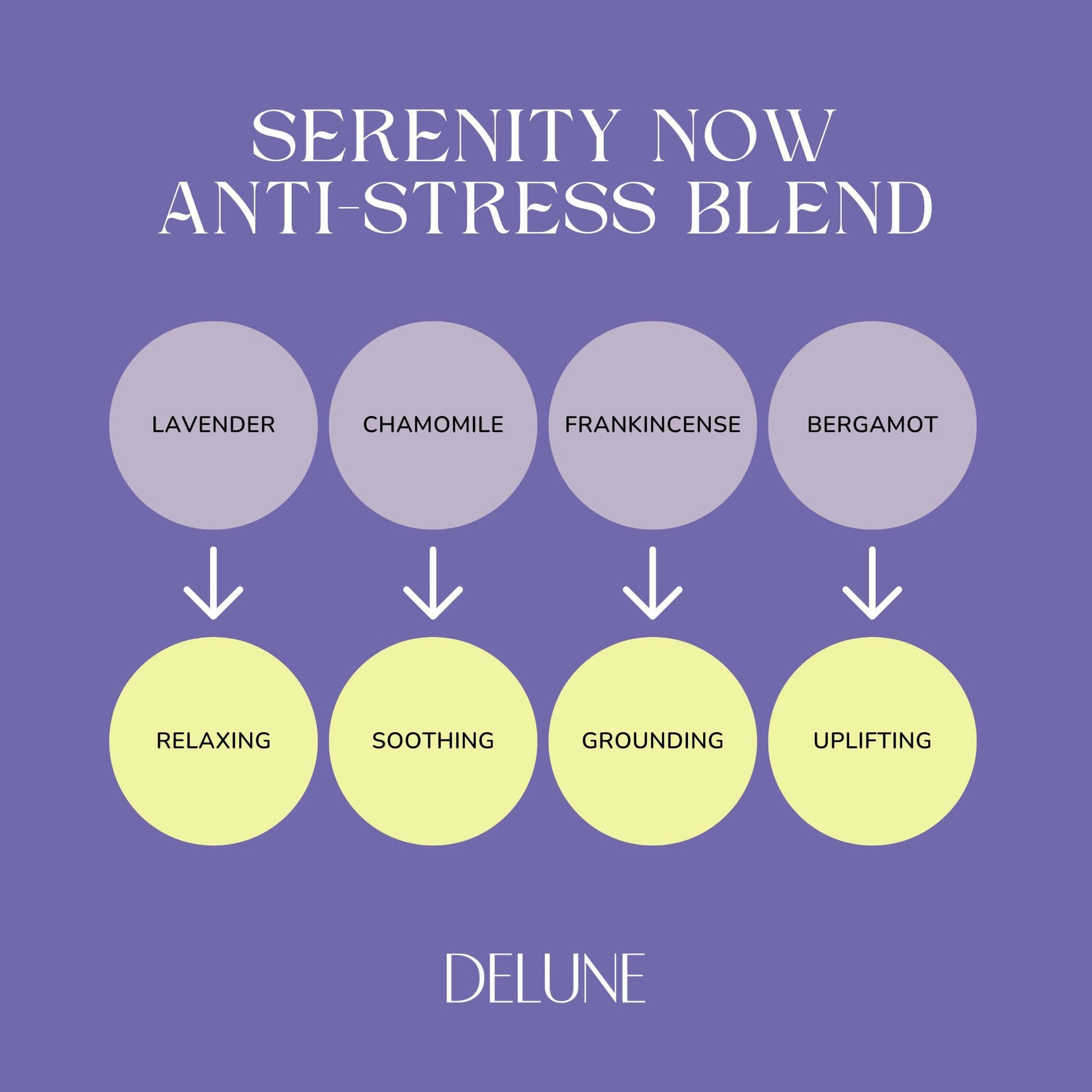 Diagram depicting Serenity Now anti-stress blend ingredients: lavender, chamomile, frankincense, bergamot with effects: relaxing, soothing, grounding, uplifting.