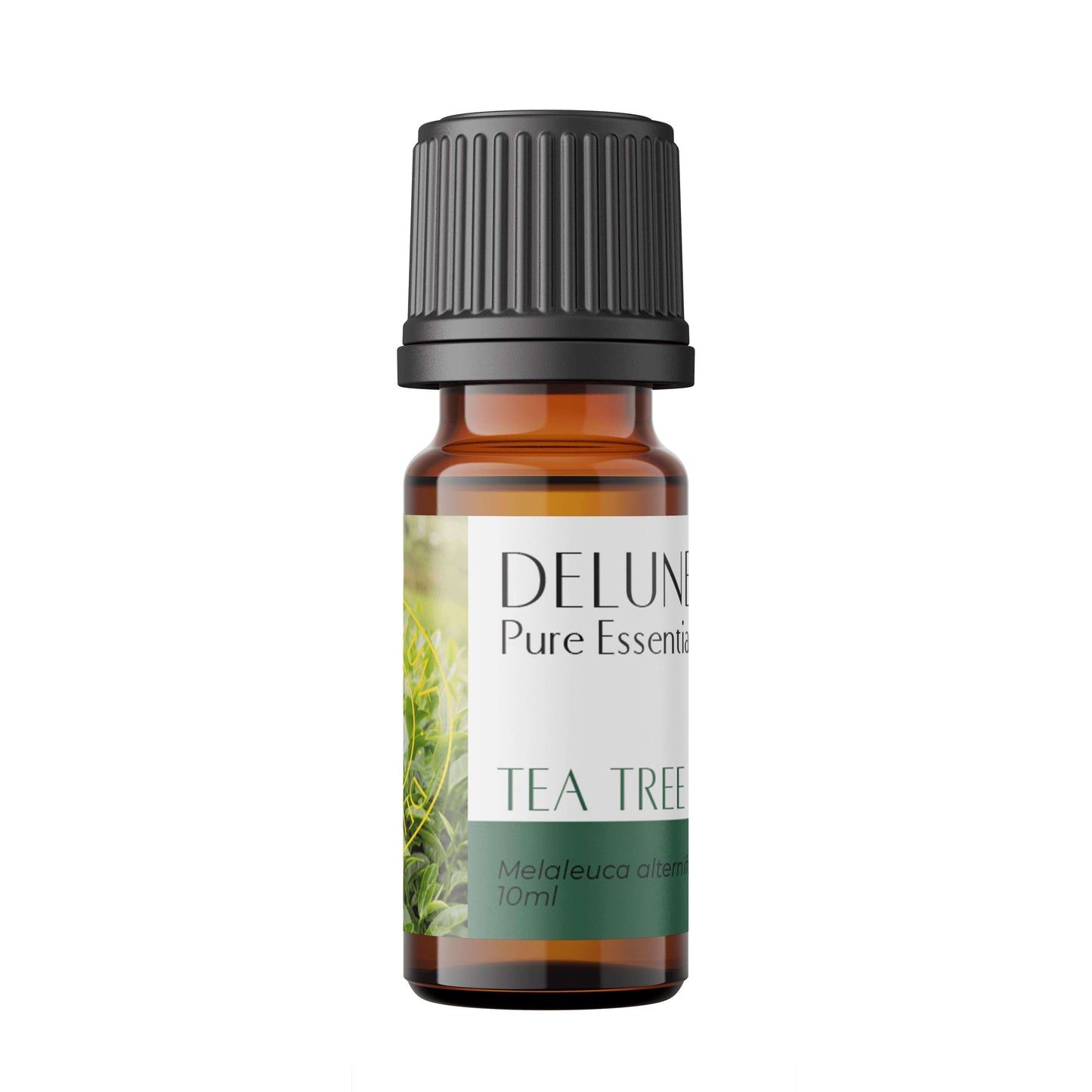 Tea Tree Pure Essential Oil bottle for acne treatment, inflammation relief, and immune support.