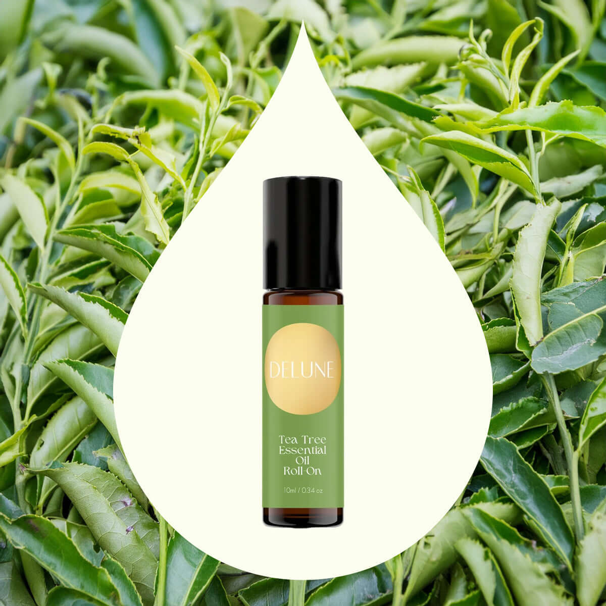 Tea Tree Essential Oil Roll-On in front of fresh tea leaves, promoting mind clarity and resilience. Contains 10% in coconut oil.
