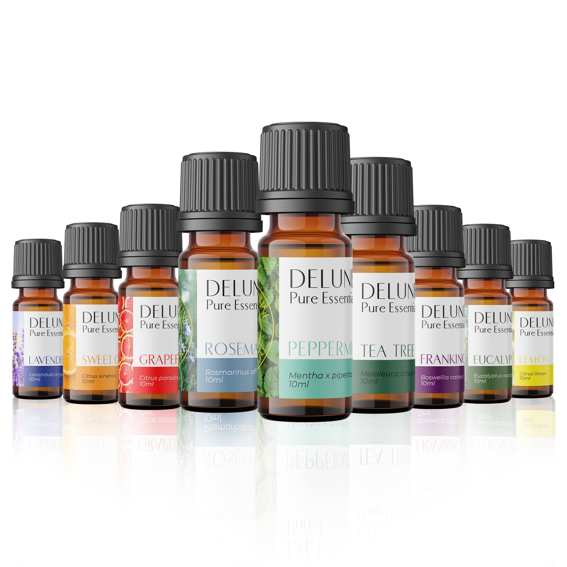Essentials Plus 9 Pack Set of essential oils including lavender, lemon, peppermint, tea tree, sweet orange, and others.