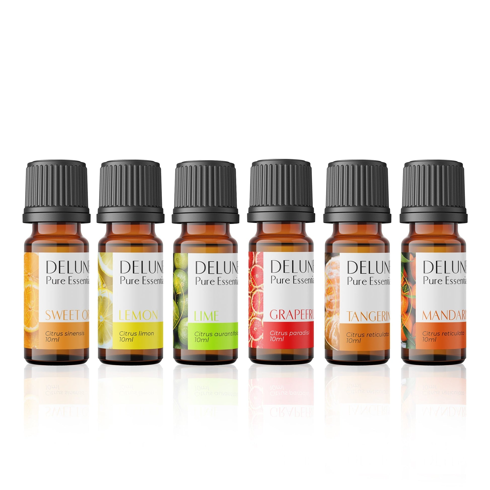 Citrus Essentials 6 Pack Set featuring sweet orange, lemon, lime, grapefruit, tangerine, and mandarin essential oils.