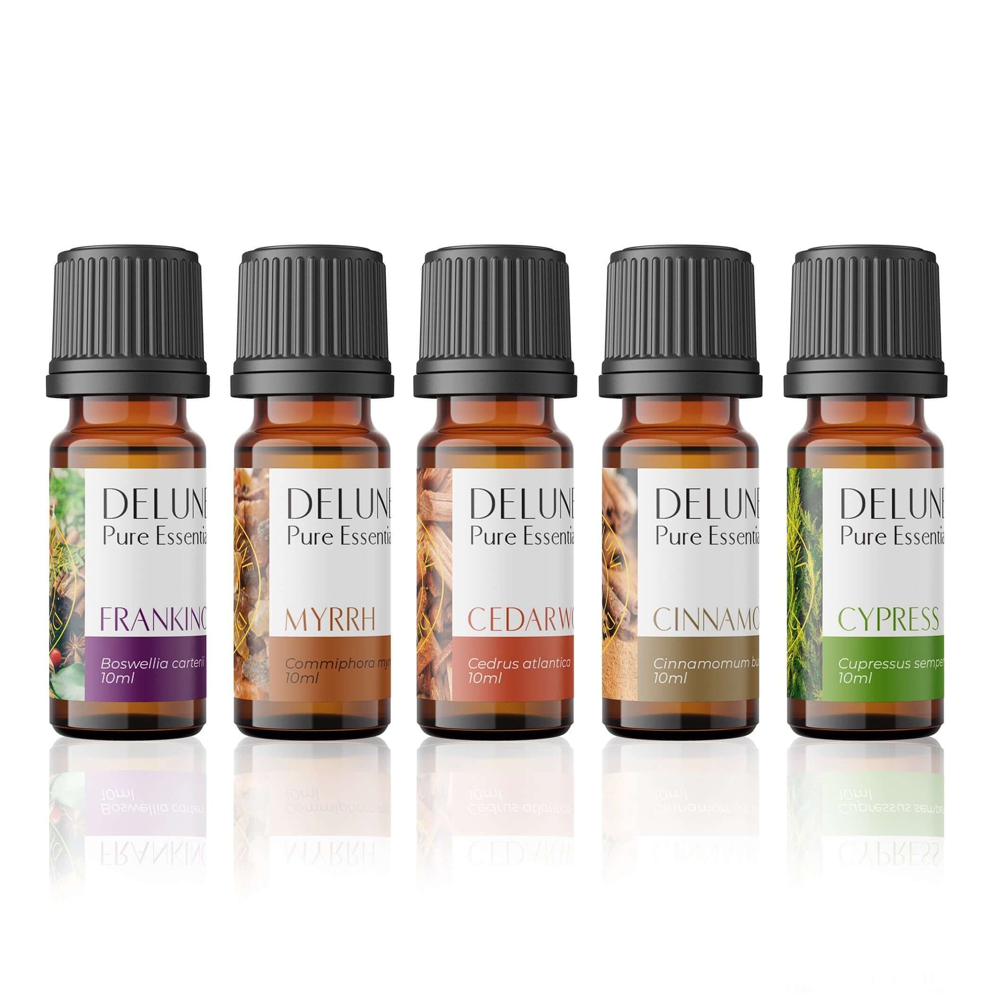 Oils of the Bible 5 Pack Set including essential oils of frankincense, myrrh, cedarwood, cinnamon, and cypress for meditation.