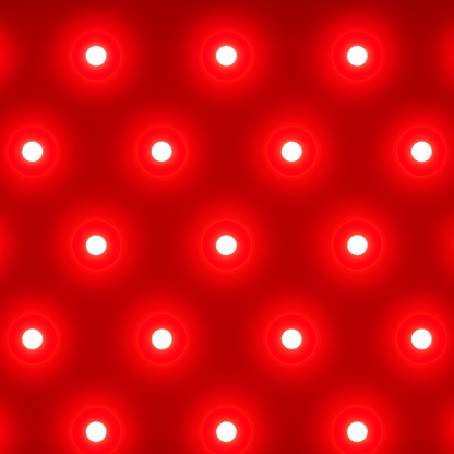 LED Facial Mask Le Professionnel