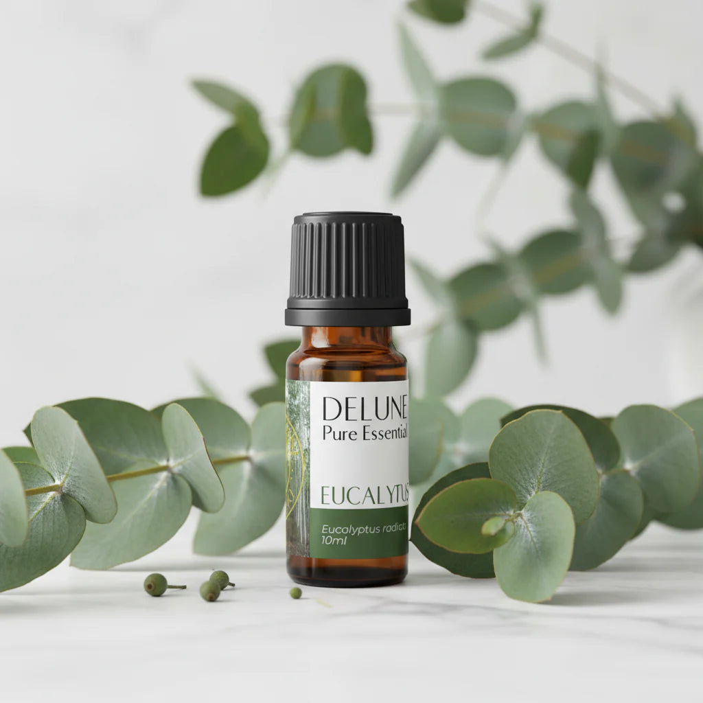 Eucalyptus Pure Essential Oil bottle and packaging for alertness and soothing aroma.