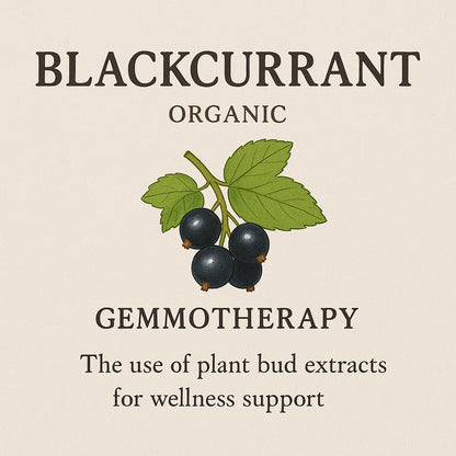 Blackcurrant Organic Gemmotherapy