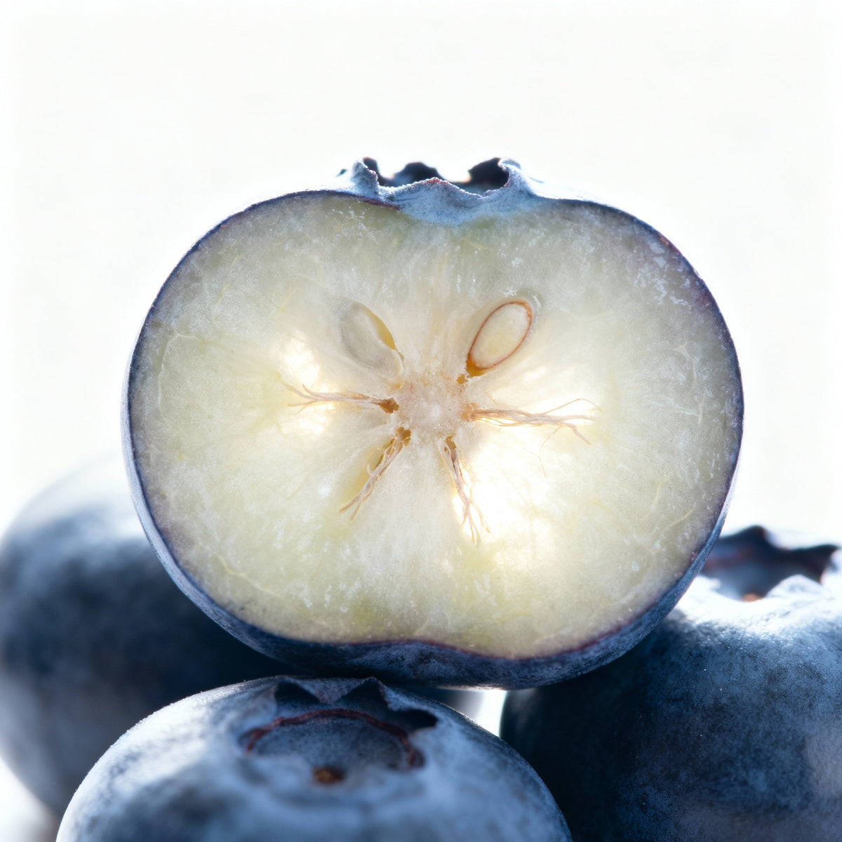 Blueberry + Jasmine (Cell Energy) Active Serum Booster