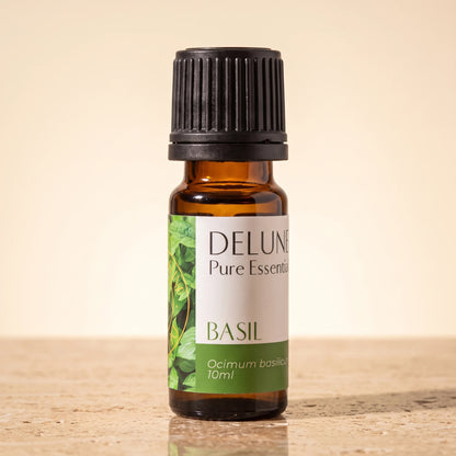 Delune Basil Pure Essential Oil, 10ml amber glass bottle on warm travertine stone