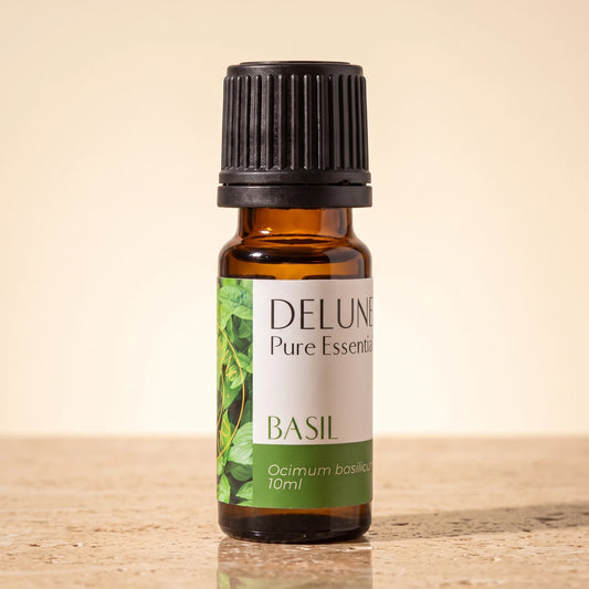 Delune Basil Pure Essential Oil, 10ml amber glass bottle on warm travertine stone