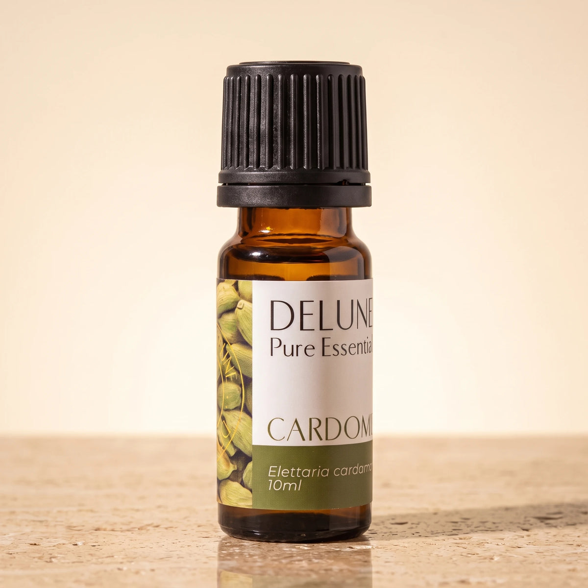 Delune Cardamom Pure Essential Oil, 10ml amber glass bottle on warm travertine stone