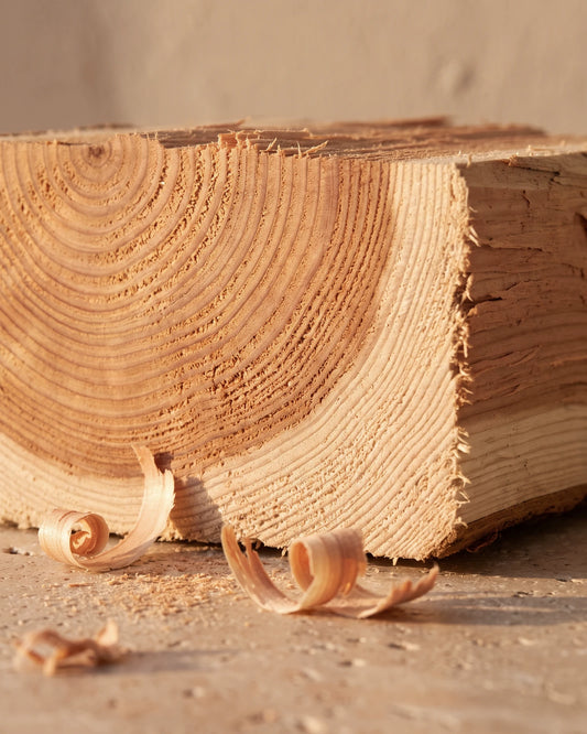 Cedarwood essential oil UAE – Delune Dubai: freshly split cedarwood block with curled shavings and sawdust in raking warm