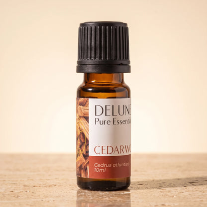 Cedarwood essential oil UAE – Delune Dubai Cedarwood Pure Essential Oil, 10ml amber glass bottle on warm travertine stone