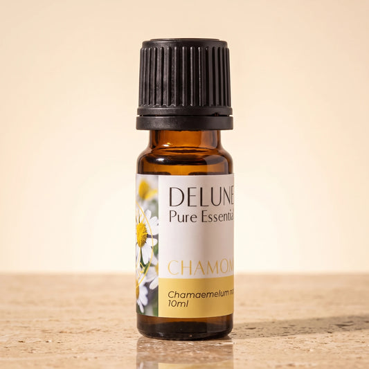 Delune Chamomile Roman Pure Essential Oil, 10ml amber glass bottle on warm travertine stone