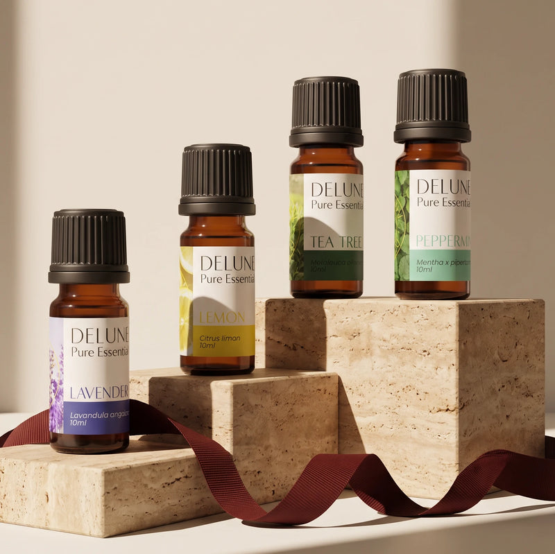 Essential Starters Lavender, Lemon, Tea Tree and Peppermint oils on stepped travertine blocks with an oxblood ribbon