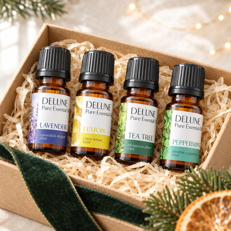 Essential Starters 4 Pack in a kraft gift box with wood wool and green velvet ribbon in morning light
