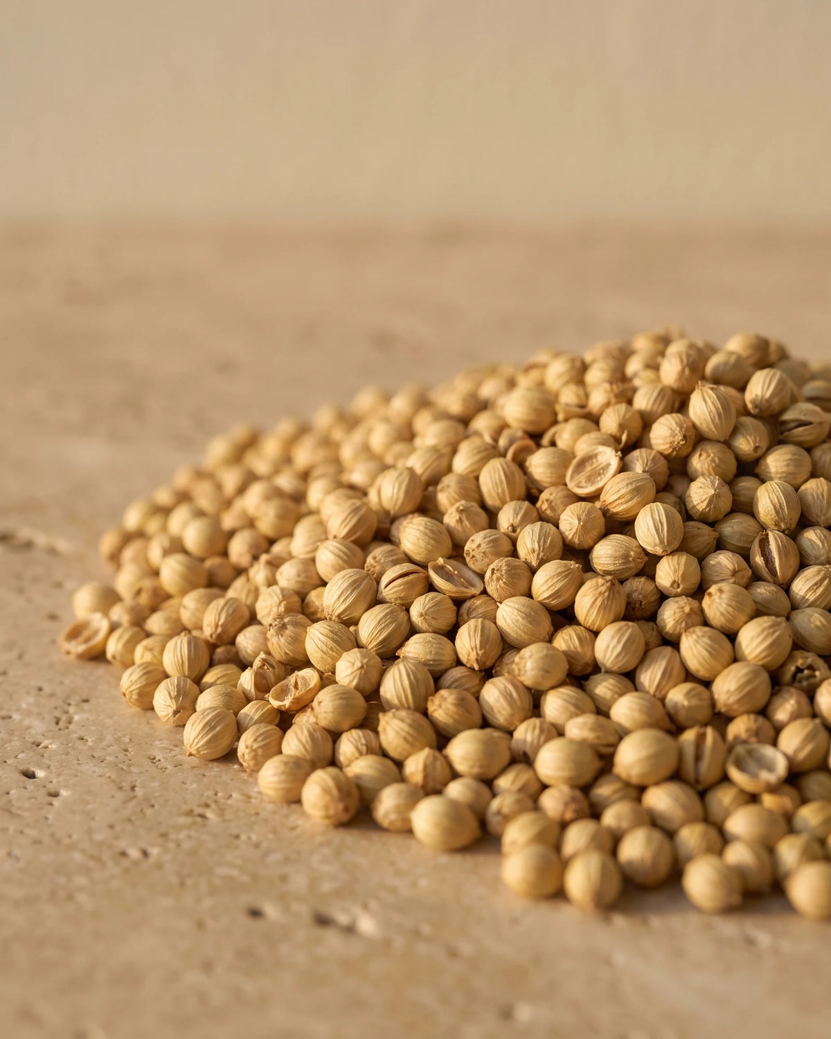Coriander Seed essential oil UAE – Delune Dubai: a heap of ribbed coriander seeds in warm light on travertine