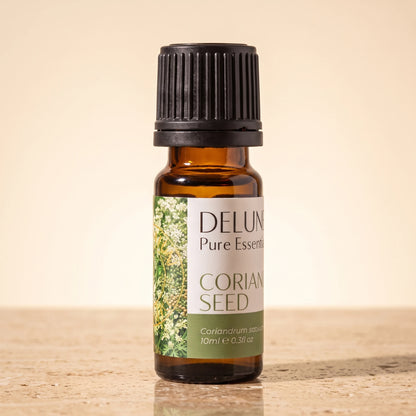 Coriander Seed essential oil UAE – Delune Dubai Coriander Seed Pure Essential Oil