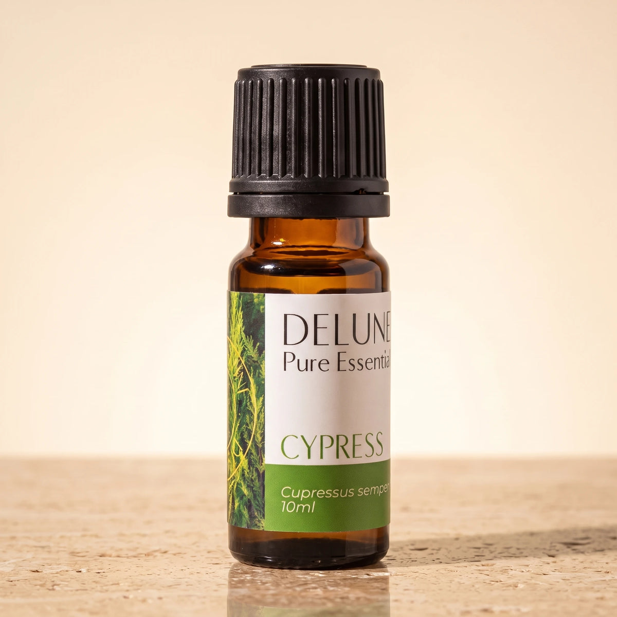 Cypress essential oil UAE – Delune Dubai Cypress Pure Essential Oil, 10ml amber glass bottle on warm travertine stone