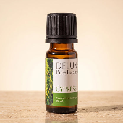 Cypress essential oil UAE – Delune Dubai Cypress Pure Essential Oil, 10ml amber glass bottle on warm travertine stone