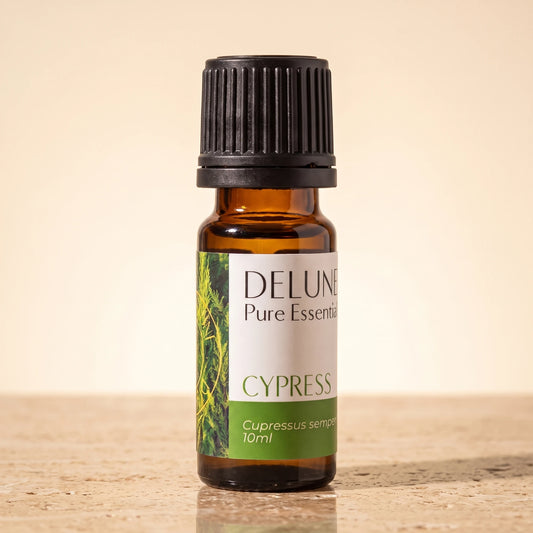 Delune Cypress Pure Essential Oil, 10ml amber glass bottle on warm travertine stone