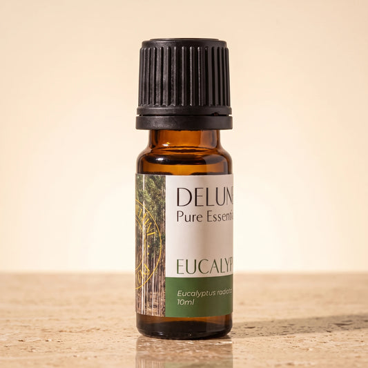 Delune Eucalyptus (Radiata) Pure Essential Oil, 10ml amber glass bottle on warm travertine stone
