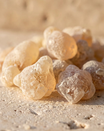 Frankincense essential oil UAE – Delune Dubai: raw frankincense resin tears glowing honey-amber in warm backlight on bone