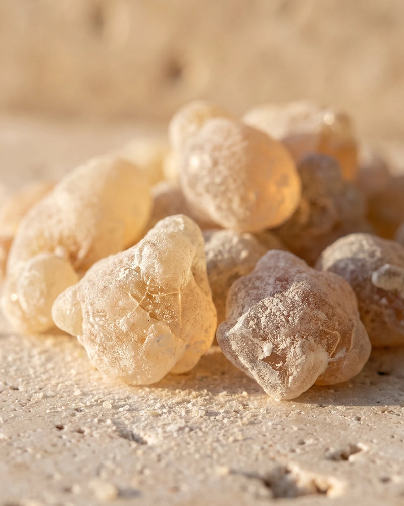 Raw frankincense resin tears glowing honey-amber in warm backlight on bone travertine — the warm, resinous scent of Delune Frankincense Pure Essential Oil