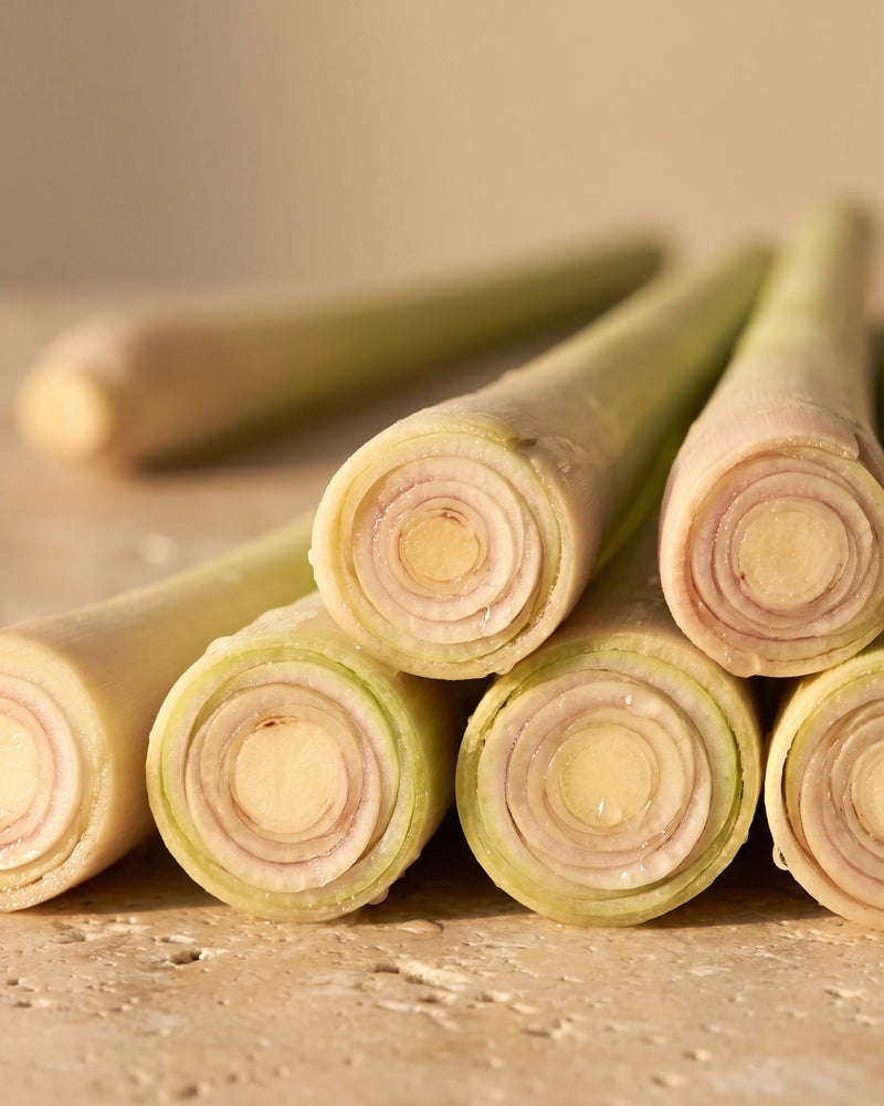 Freshly cut lemongrass stalks showing their pale concentric rings in warm light — the bright citrus scent of Delune Lemongrass Pure Essential Oil