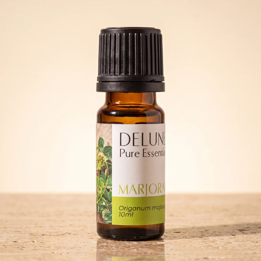 Marjoram essential oil UAE – Delune Dubai Marjoram Pure Essential Oil, 10ml amber glass bottle on warm travertine stone