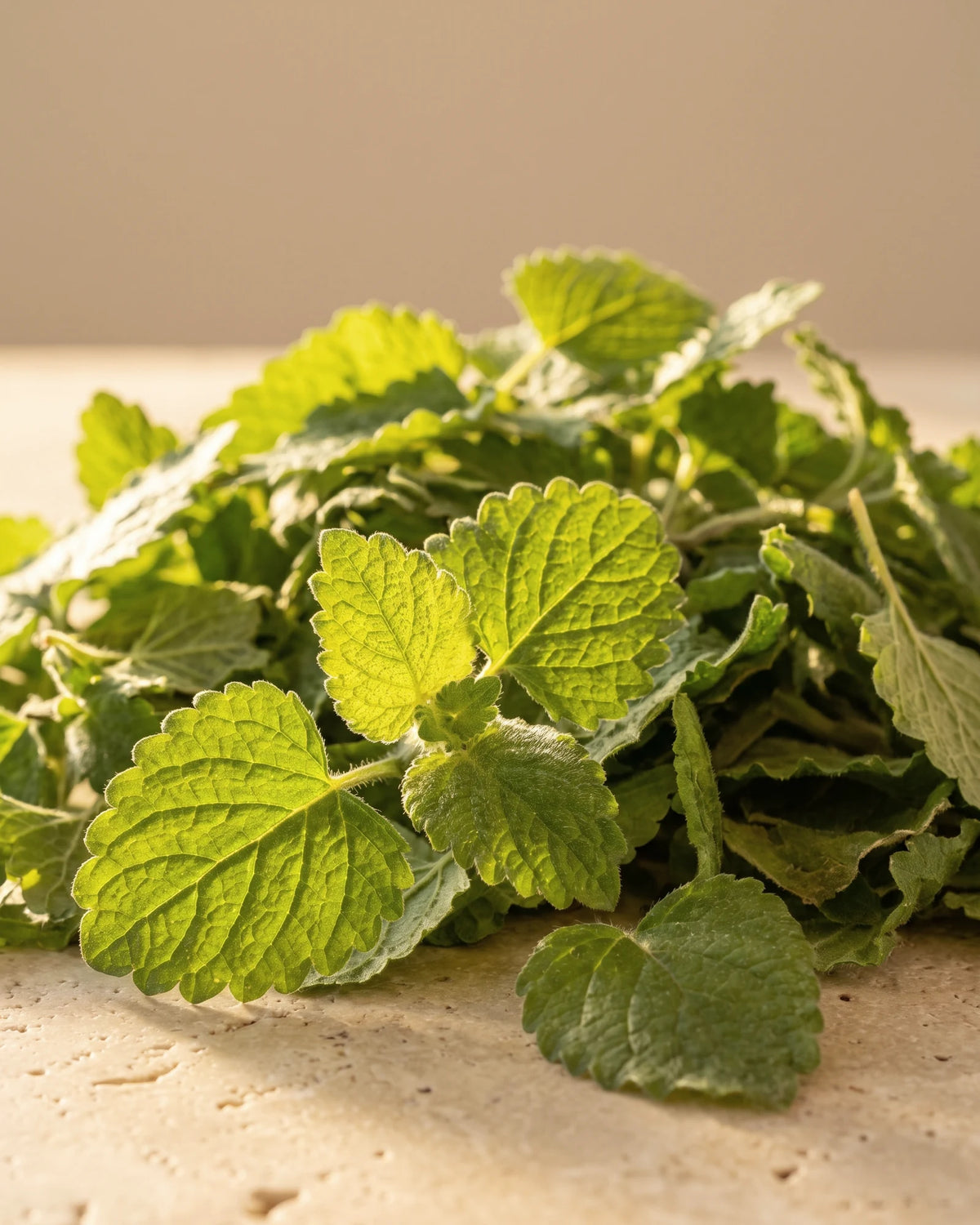 Fresh crinkled lemon balm leaves glowing in warm sunlight — the gentle lemony scent of Delune Melissa Pure Essential Oil