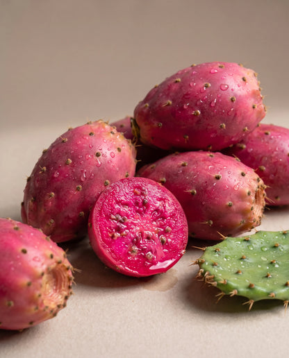 Delune Prickly Pear Seed Oil botanical still life of prickly pear fruit