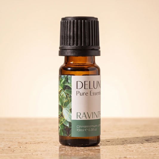 Delune Ravintsara Pure Essential Oil, 10ml amber glass bottle on warm travertine stone