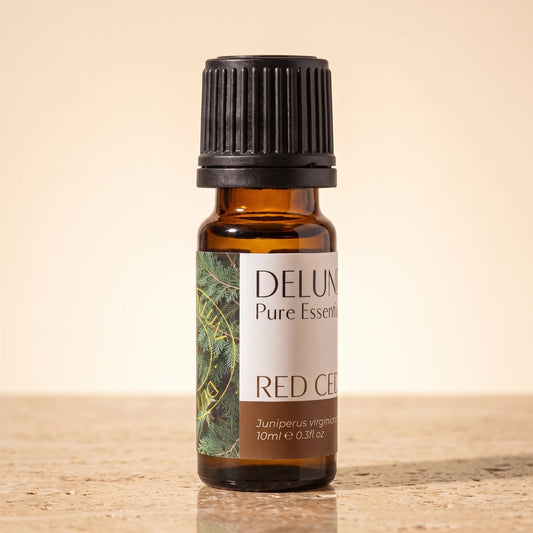 Delune Red Cedar Pure Essential Oil, 10ml amber glass bottle on warm travertine stone